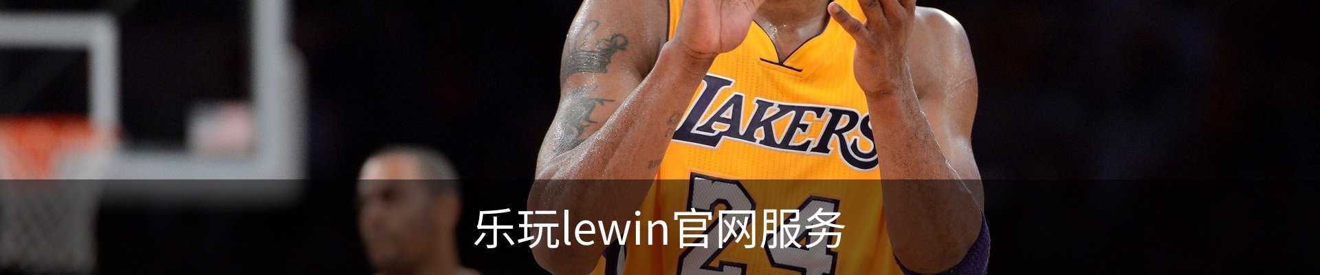 乐玩lewin官网服务